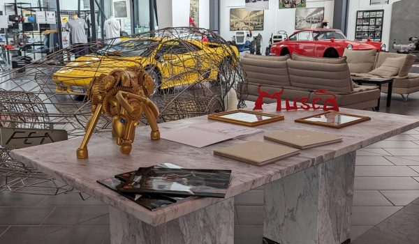 PXL_20230922_130126458.MP