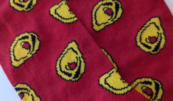 WhatsApp Image 2024-11-16 at 10.51.39