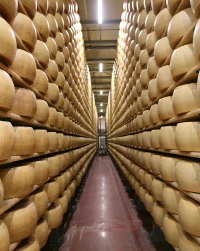 caseificio-parmigiano-reggiano-001