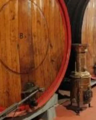 lambrusco-modena-001