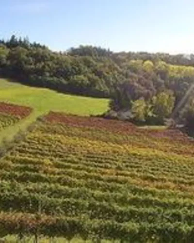 lambrusco-modena-002