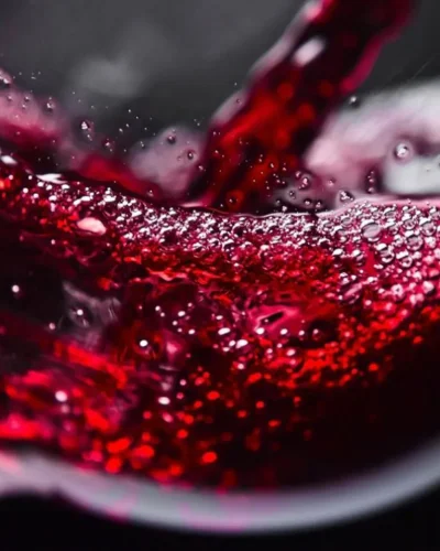 lambrusco-modena-003