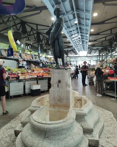 mercato-albinelli-002