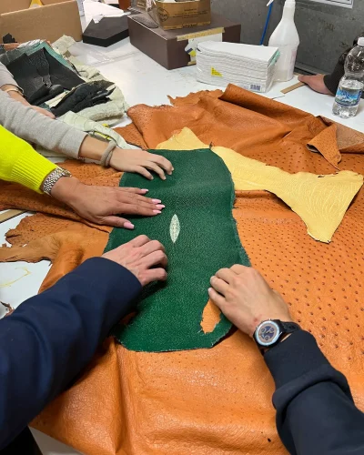 pelletteria-schedoni006