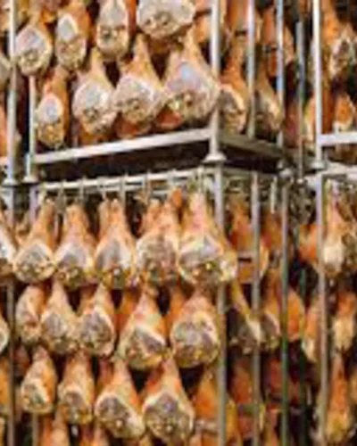 prosciuttificio-modena-003