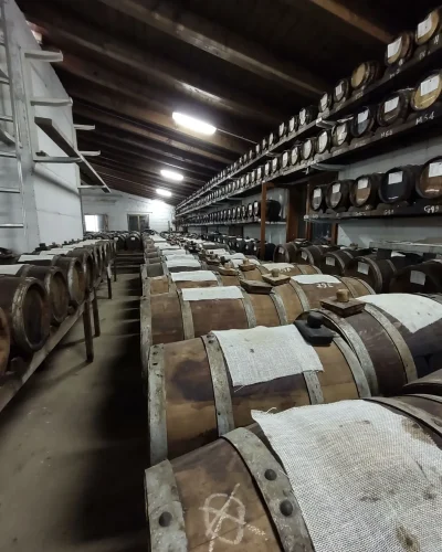 visita-guidata-degustazione-acetaia-004