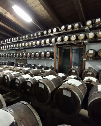 visita-guidata-degustazione-acetaia-005